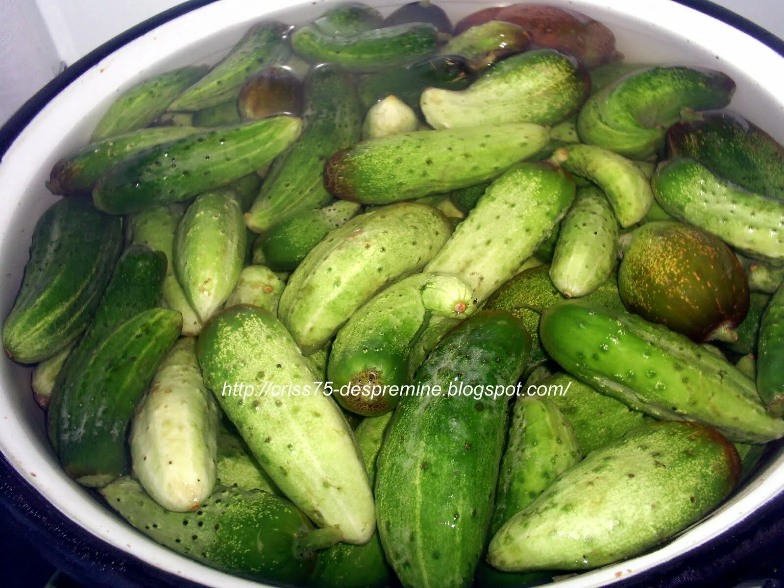 Bulgarian cucumber recipe