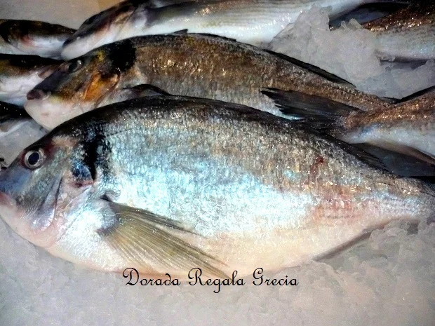 Royal bream with vegetables