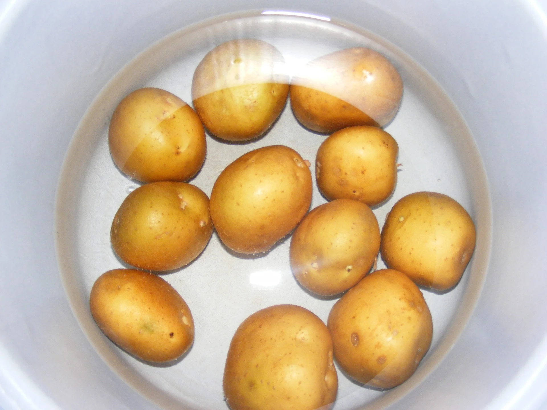 Warm salad with pasta, potatoes, and tofu
