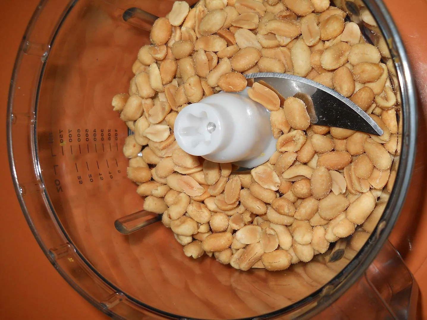 hazelnut and chocolate pie