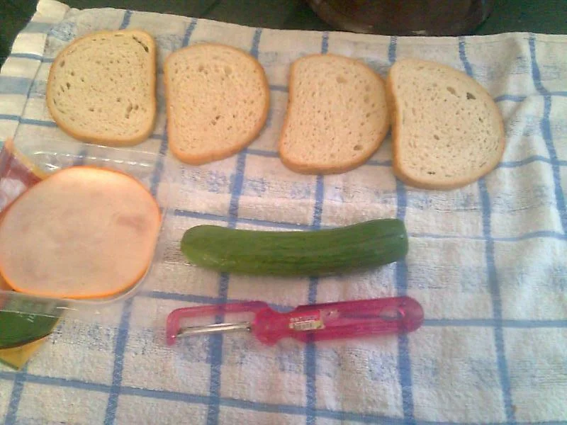 The cheerful giraffe