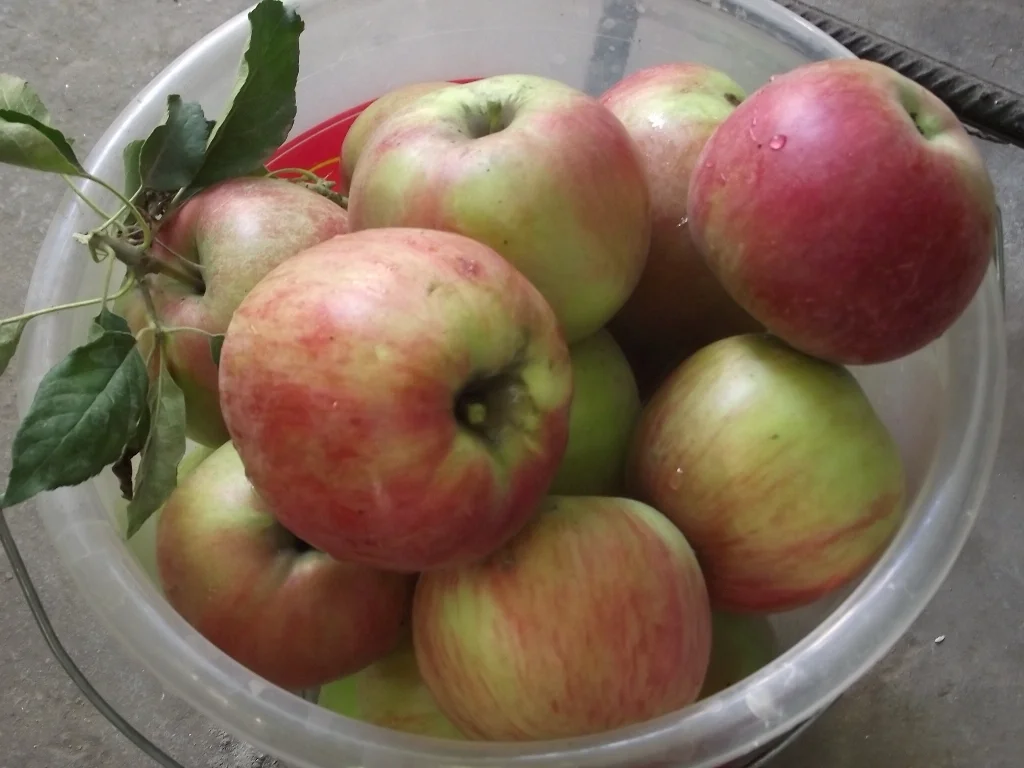 Apple and pear nectar