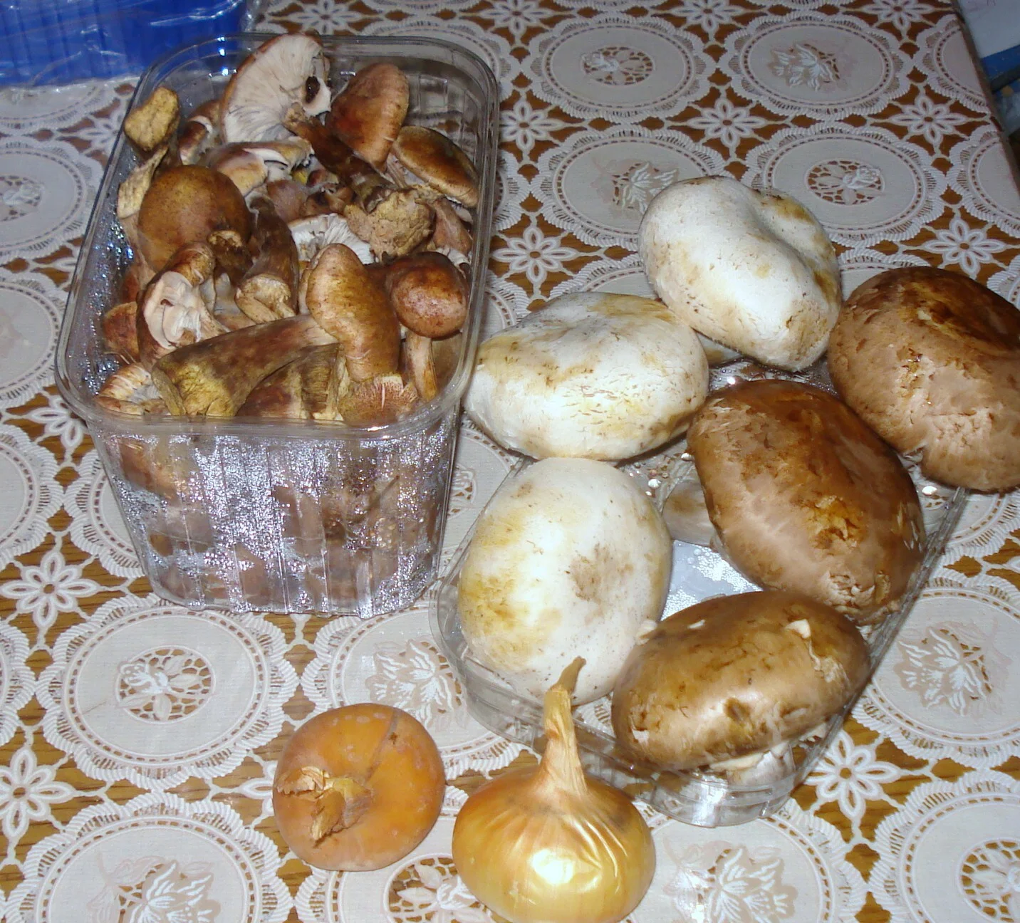 Mushroom stew