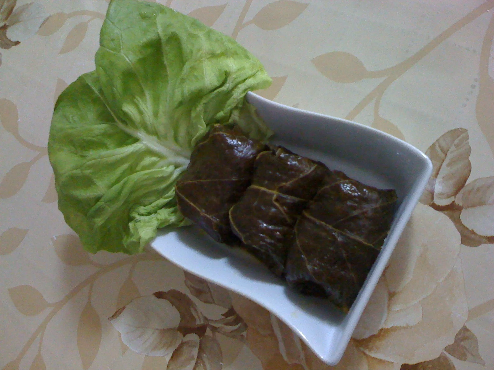 Vegan stuffed grape leaves