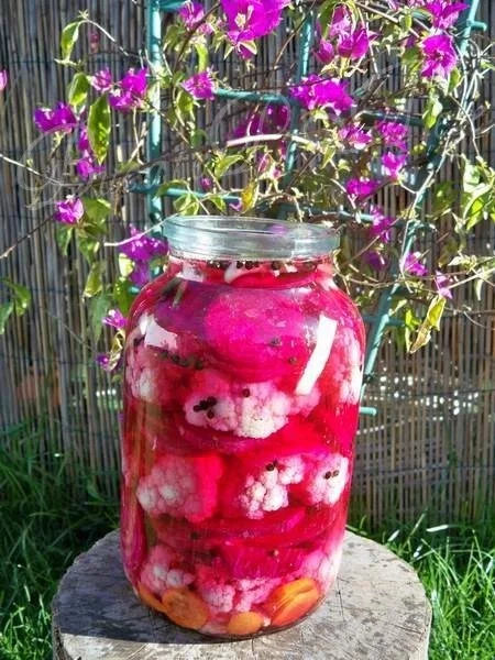 Layers with beetroot and cauliflower