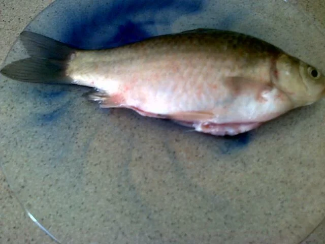 Fish with potato chips
