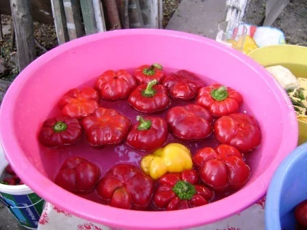 Pickled bell peppers and cauliflower