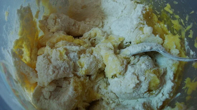 Gnocchi with chicken in red sauce