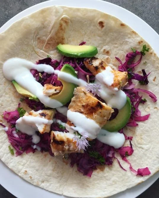 Grilled fish taco with red cabbage coleslaw