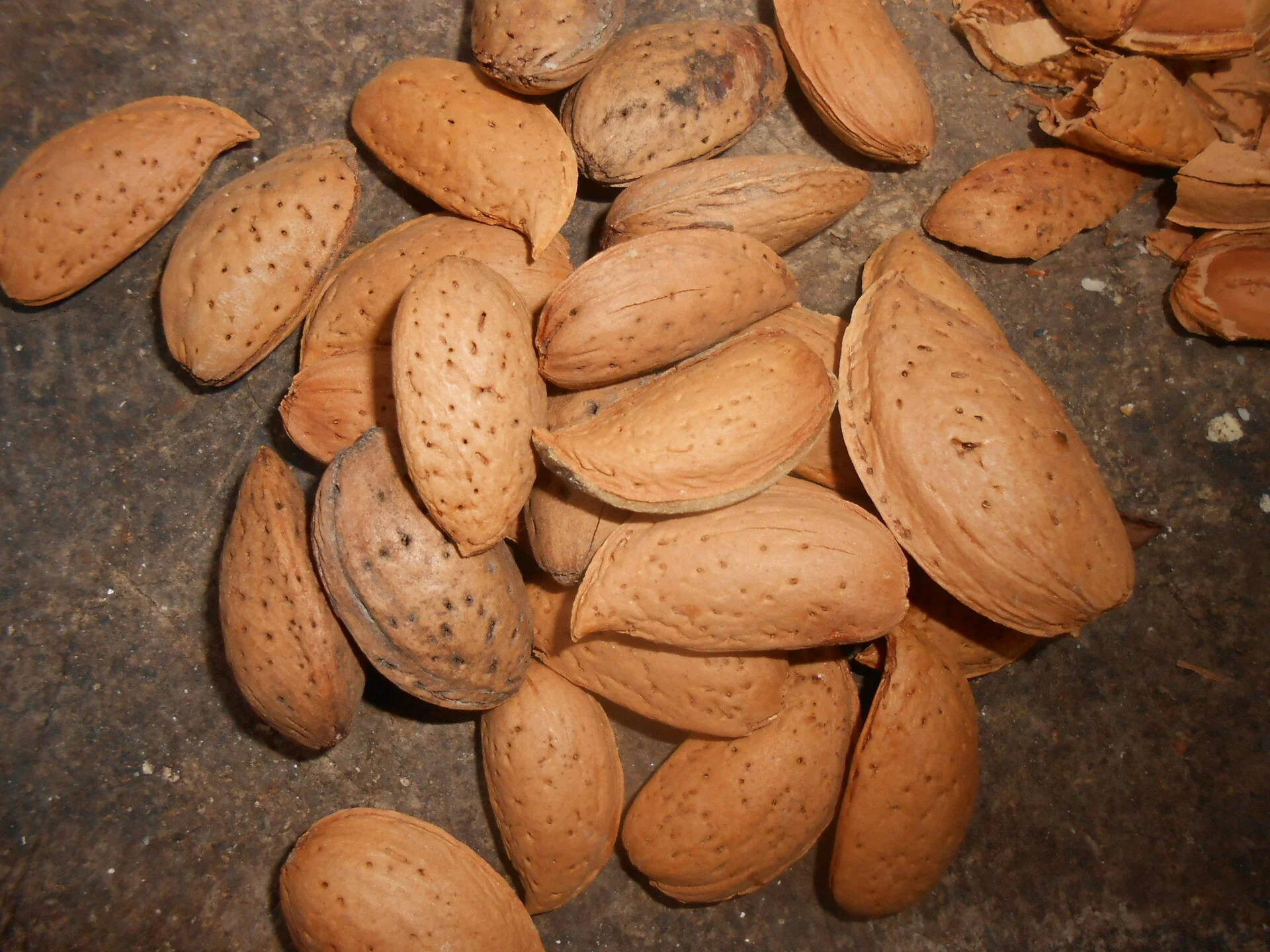 Cookie candies made from leftovers