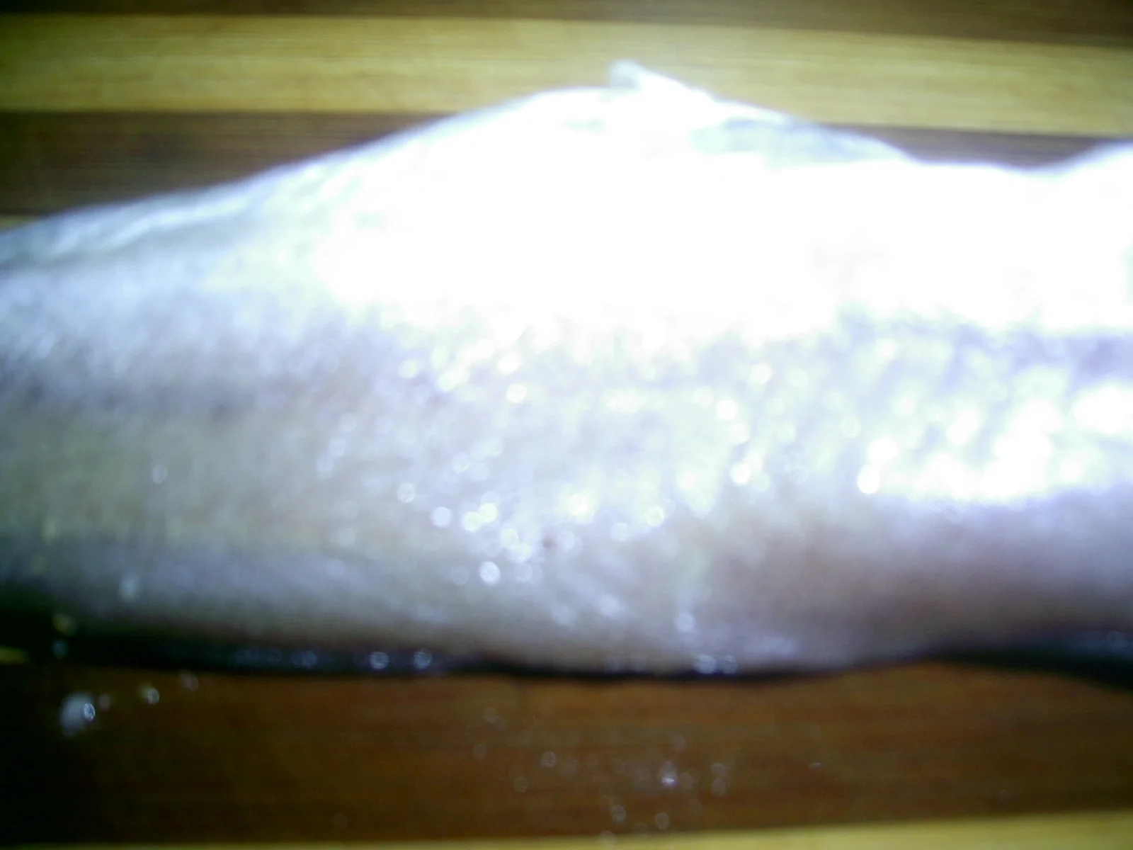 Salmon with broccoli and carrots (baked)