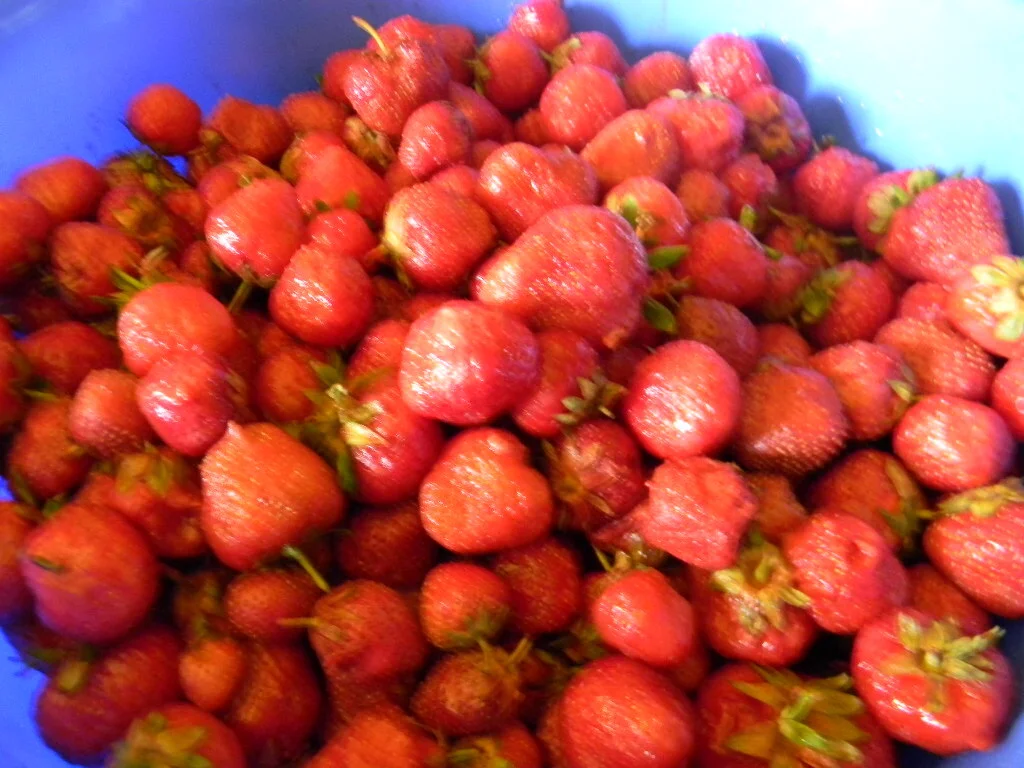 Strawberry syrup with mint