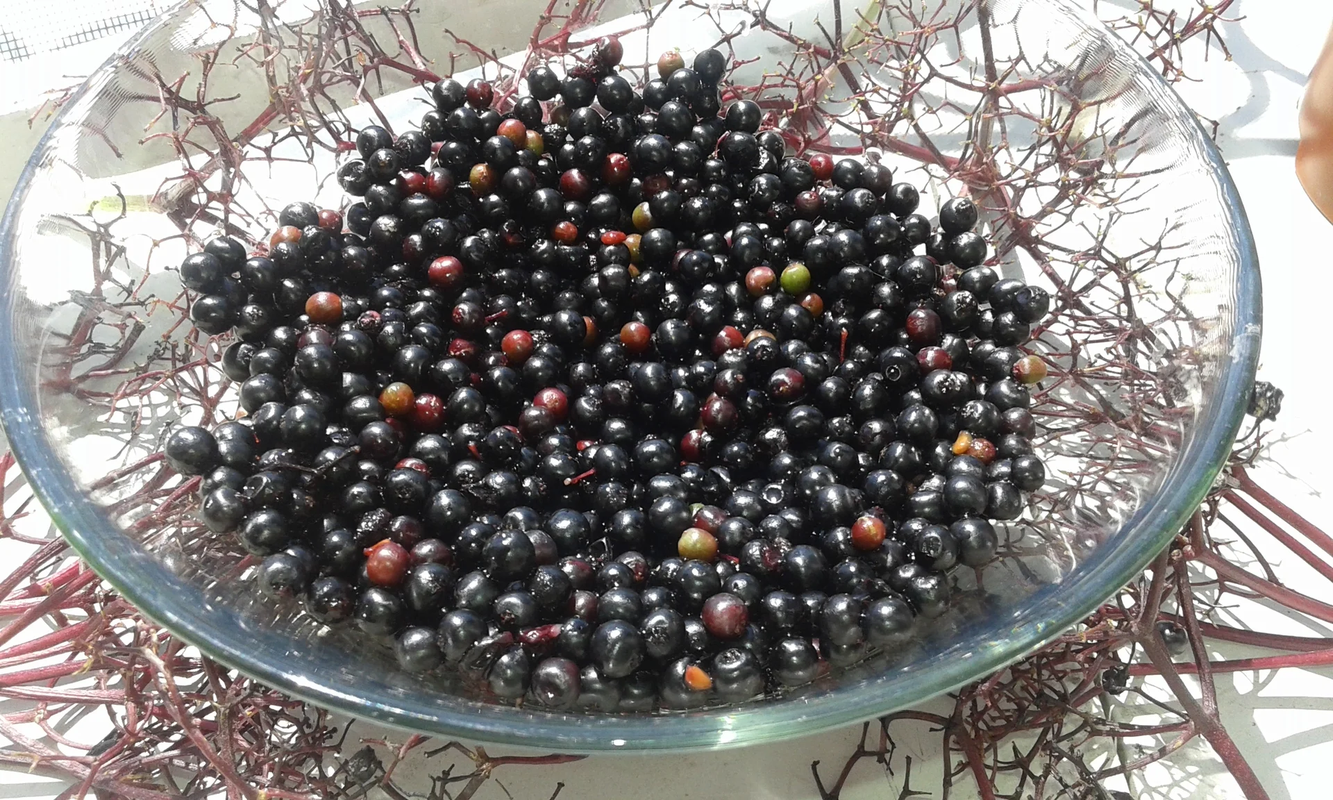 Elderberry Jam