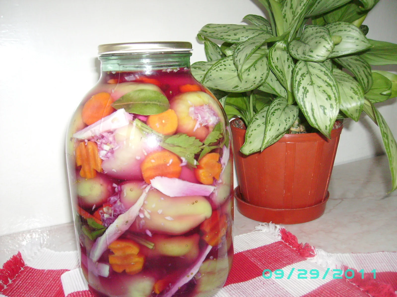 Peppers with cabbage