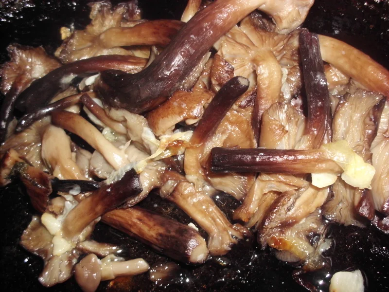 Mushroom stew in wine sauce