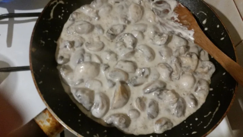 Mushrooms with white sauce and sour cream